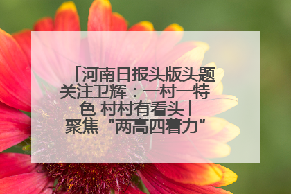 河南日报头版头题关注卫辉：一村一特色 村村有看头 ︳聚焦“两高四着力”·一“县”观察