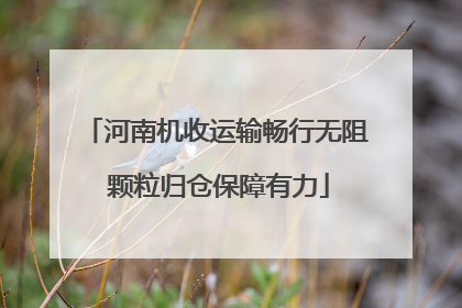 河南机收运输畅行无阻 颗粒归仓保障有力