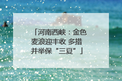河南西峡：金色麦浪迎丰收 多措并举保“三夏”