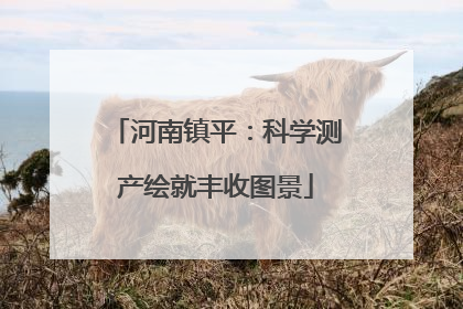 河南镇平：科学测产绘就丰收图景