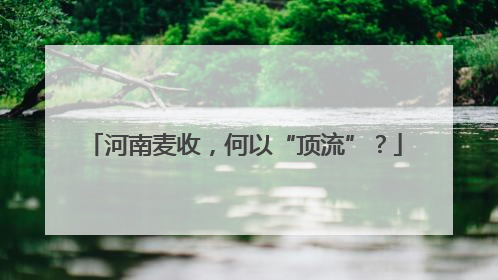 河南麦收，何以“顶流”？