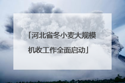 河北省冬小麦大规模机收工作全面启动