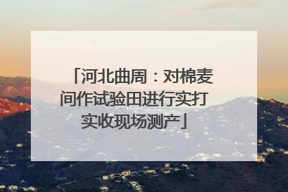河北曲周：对棉麦间作试验田进行实打实收现场测产