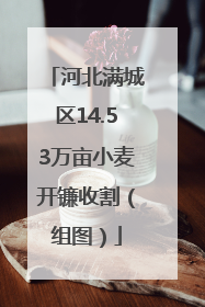 河北满城区14.53万亩小麦开镰收割（组图）
