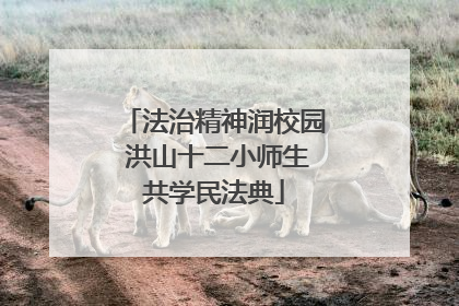 法治精神润校园 洪山十二小师生共学民法典