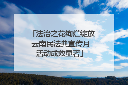 法治之花绚烂绽放 云南民法典宣传月活动成效显著