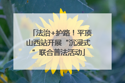 法治+护路！平顶山西站开展“沉浸式”联合普法活动