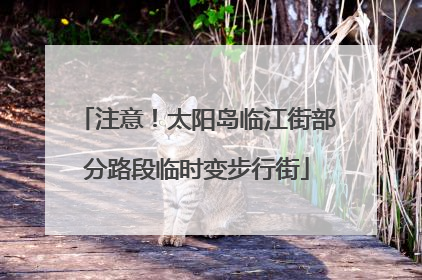 注意！太阳岛临江街部分路段临时变步行街