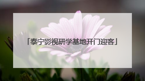 泰宁影视研学基地开门迎客