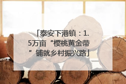 泰安下港镇：1.5万亩“樱桃黄金带”铺就乡村振兴路