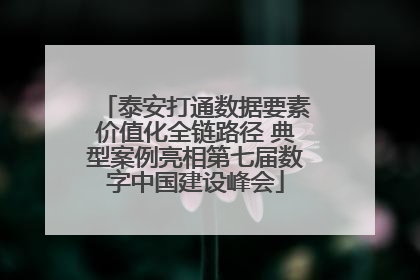 泰安打通数据要素价值化全链路径 典型案例亮相第七届数字中国建设峰会
