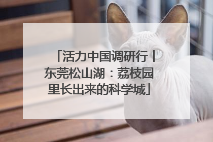 活力中国调研行丨东莞松山湖：荔枝园里长出来的科学城