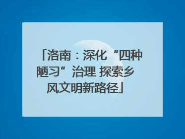 洛南：深化“四种陋习”治理 探索乡风文明新路径