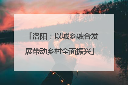 洛阳：以城乡融合发展带动乡村全面振兴