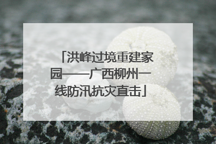 洪峰过境重建家园——广西柳州一线防汛抗灾直击