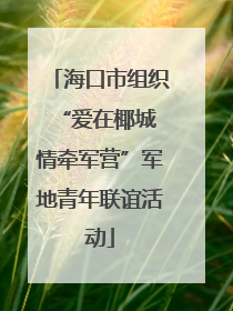海口市组织“爱在椰城 情牵军营”军地青年联谊活动