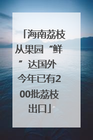 海南荔枝从果园“鲜”达国外 今年已有200批荔枝出口