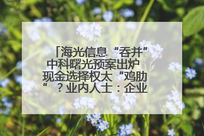 海光信息“吞并”中科曙光预案出炉 现金选择权太“鸡肋”？业内人士：企业不想大量现金流出