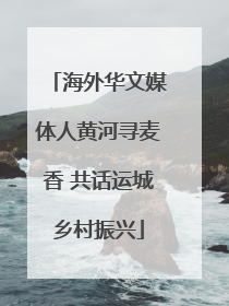 海外华文媒体人黄河寻麦香 共话运城乡村振兴