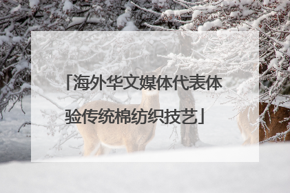 海外华文媒体代表体验传统棉纺织技艺