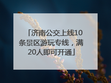 济南公交上线10条景区游玩专线，满20人即可开通
