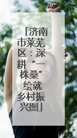 济南市莱芜区：深耕“一株桑” 绘就乡村振兴图