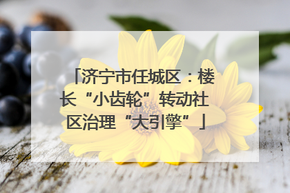 济宁市任城区：楼长“小齿轮”转动社区治理“大引擎”
