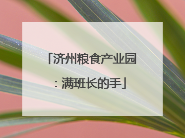 济州粮食产业园：满班长的手