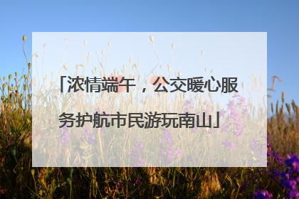 浓情端午，公交暖心服务护航市民游玩南山