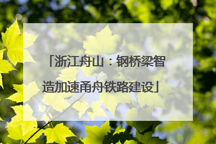 浙江舟山：钢桥梁智造加速甬舟铁路建设