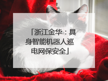 浙江金华：具身智能机器人巡电网保安全