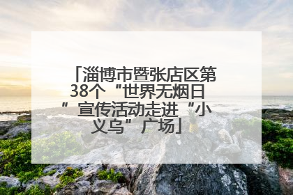 淄博市暨张店区第38个“世界无烟日”宣传活动走进“小义乌”广场
