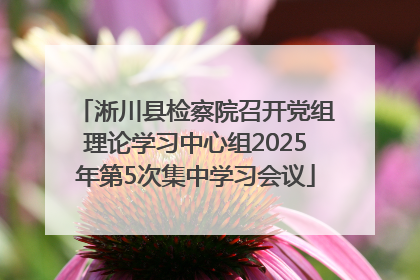 淅川县检察院召开党组理论学习中心组2025年第5次集中学习会议