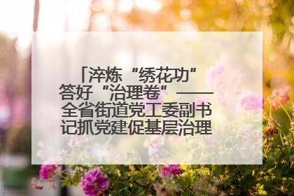 淬炼“绣花功” 答好“治理卷”——全省街道党工委副书记抓党建促基层治理培训示范班侧记