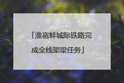 淮宿蚌城际铁路完成全线架梁任务