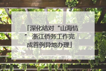 深化结对“山海情” 浙江侨务工作完成首例异地办理