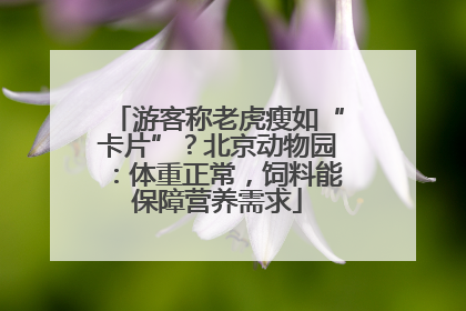 游客称老虎瘦如“卡片”？北京动物园：体重正常，饲料能保障营养需求