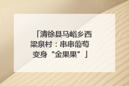 清徐县马峪乡西梁泉村：串串葡萄变身“金果果”