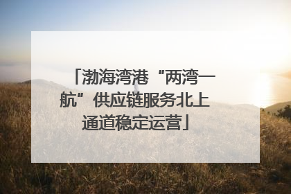 渤海湾港“两湾一航”供应链服务北上通道稳定运营