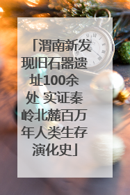 渭南新发现旧石器遗址100余处 实证秦岭北麓百万年人类生存演化史