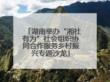 湖南举办“湘社有为”社会组织协同合作服务乡村振兴专题沙龙