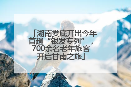 湖南娄底开出今年首趟“银发专列”，700余名老年旅客开启甘南之旅