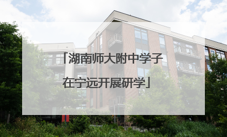 湖南师大附中学子在宁远开展研学