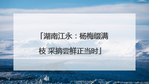湖南江永：杨梅缀满枝 采摘尝鲜正当时