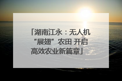湖南江永：无人机“展翅”农田 开启高效农业新篇章