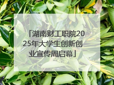 湖南财工职院2025年大学生创新创业宣传周启幕