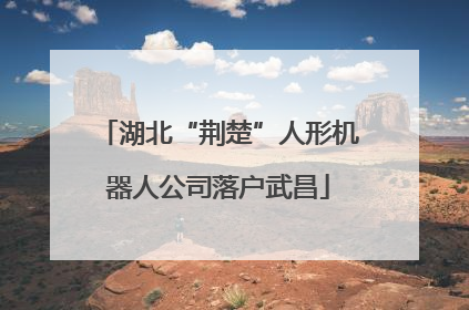 湖北“荆楚”人形机器人公司落户武昌