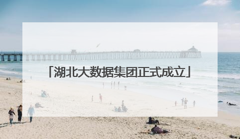 湖北大数据集团正式成立