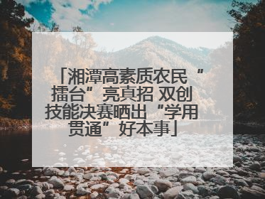 湘潭高素质农民“擂台”亮真招 双创技能决赛晒出“学用贯通”好本事