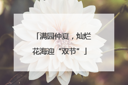 满园仲夏，灿烂花海迎“双节”